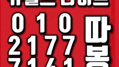 울산뉴월드나이트에서의 열정과 만남의 여정