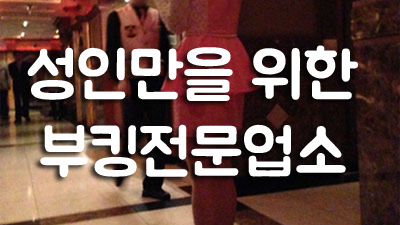야당스카이돔나이트: 중년의 날라리 언니가 만난 새로운 세계